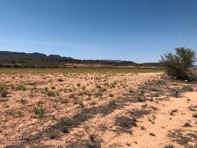 Land in MURCIA for sale - Building Photo - Image 2 of 4