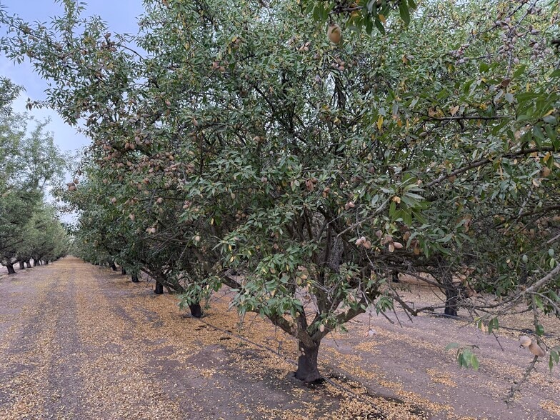 E. Keyes Rd, Denair, CA for sale - Other - Image 2 of 10