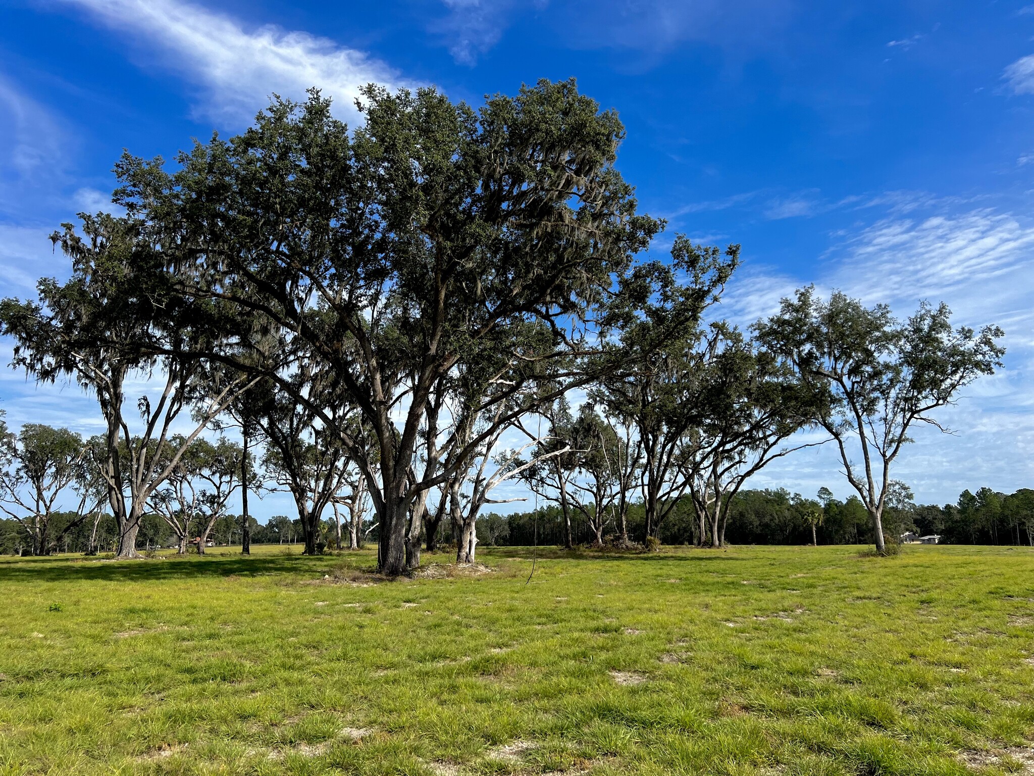 NW Highway 464B, Morriston, FL for sale Building Photo- Image 1 of 7