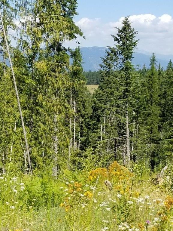 Thimbleberry Ln, Sandpoint, ID for sale Other- Image 1 of 1