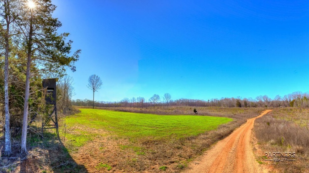 County Road 3, Marion Junction, AL for sale - Building Photo - Image 1 of 1