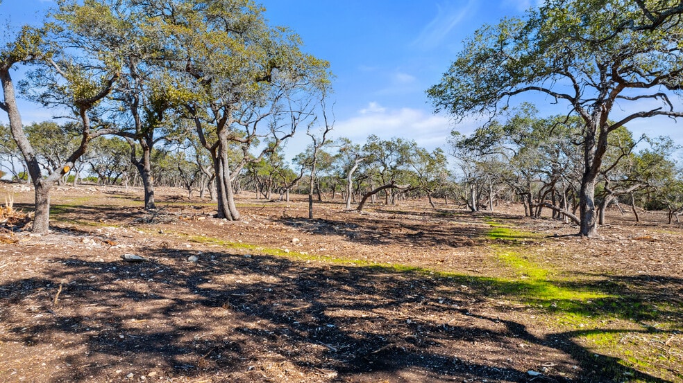 16597 U.S. 281, Spring Branch, TX for sale - Building Photo - Image 3 of 15
