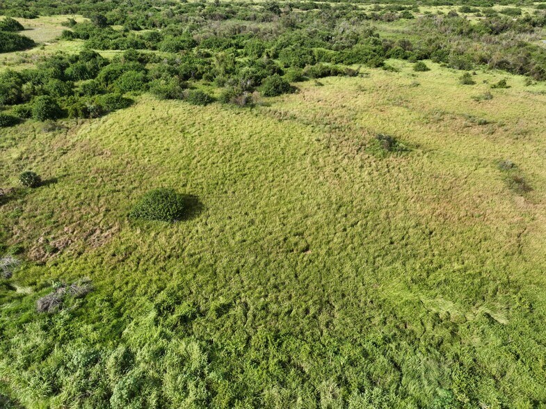 Agricola Mine rd, Fort Meade, FL for sale - Primary Photo - Image 1 of 1