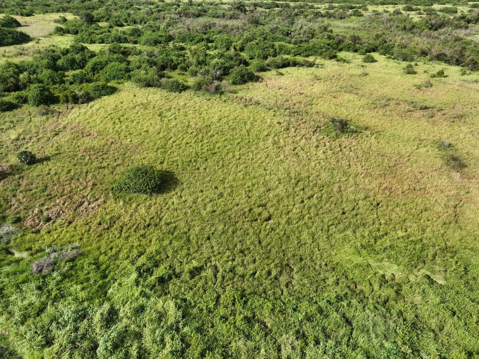 Agricola Mine rd, Fort Meade, FL for sale Primary Photo- Image 1 of 1