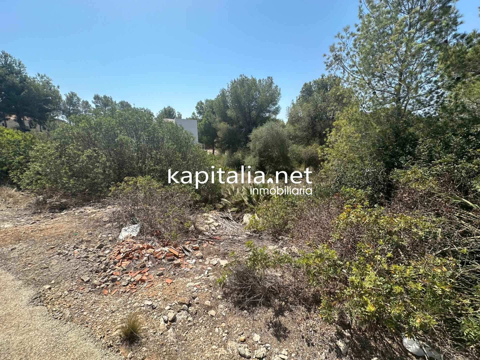 Land in San Cristóbal de La Laguna, Santa Cruz de Tenerife for sale Building Photo- Image 1 of 6