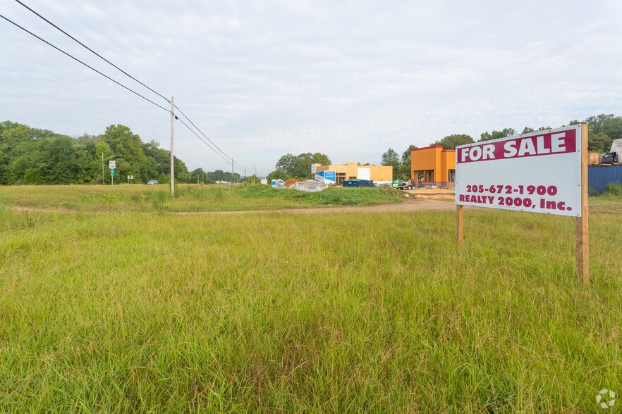 Hwy 280, Harpersville, AL 35078