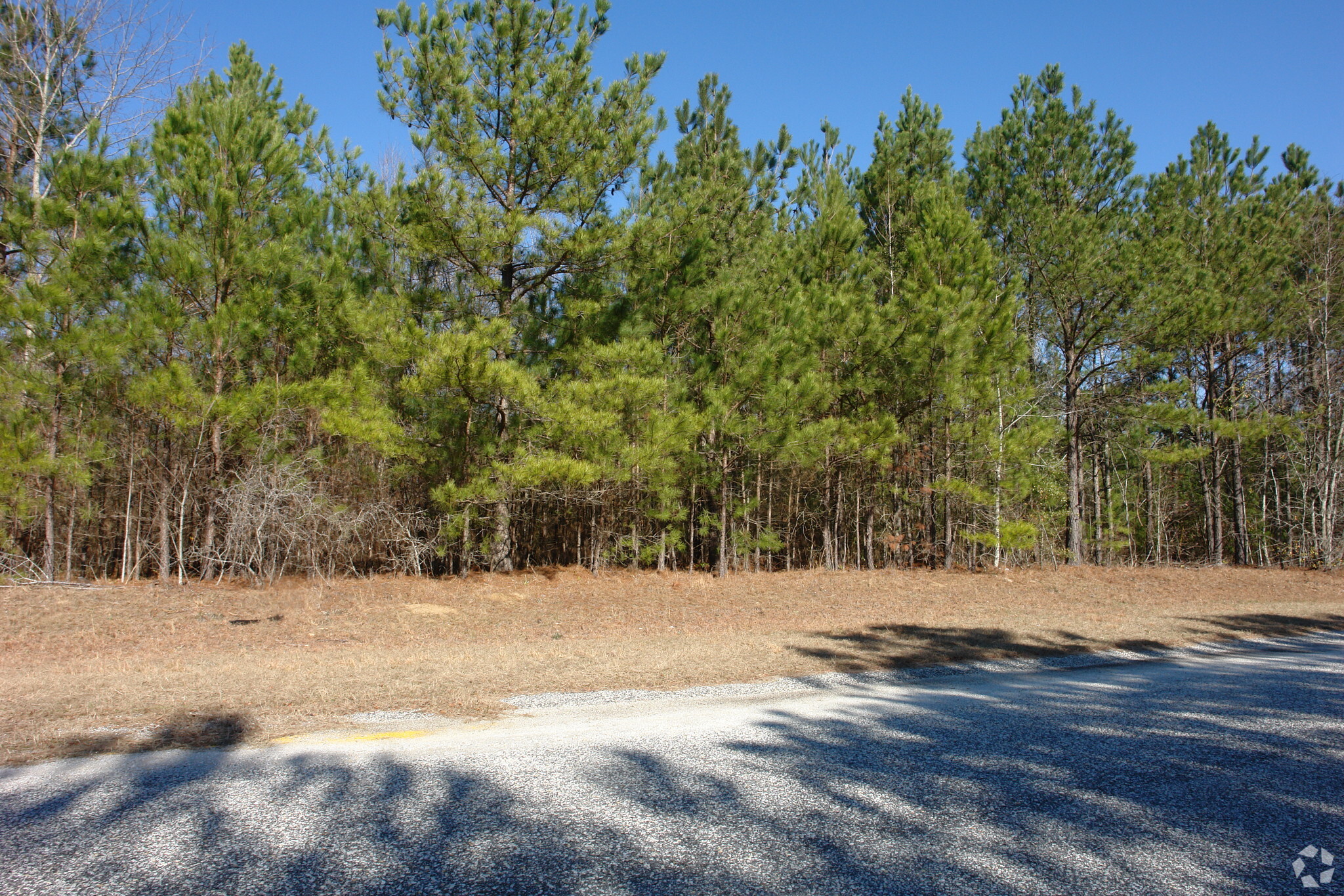 Summerton Commerce Vlg, Summerton, SC for sale Primary Photo- Image 1 of 3