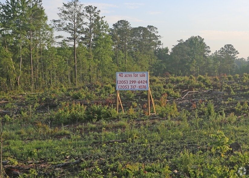 3400 blk Al145 Hwy, Clanton, AL 35046