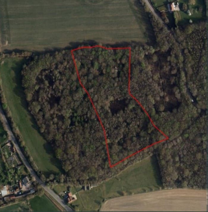 Little Dunmow Woodland, Leaden Roding for sale Primary Photo- Image 1 of 1