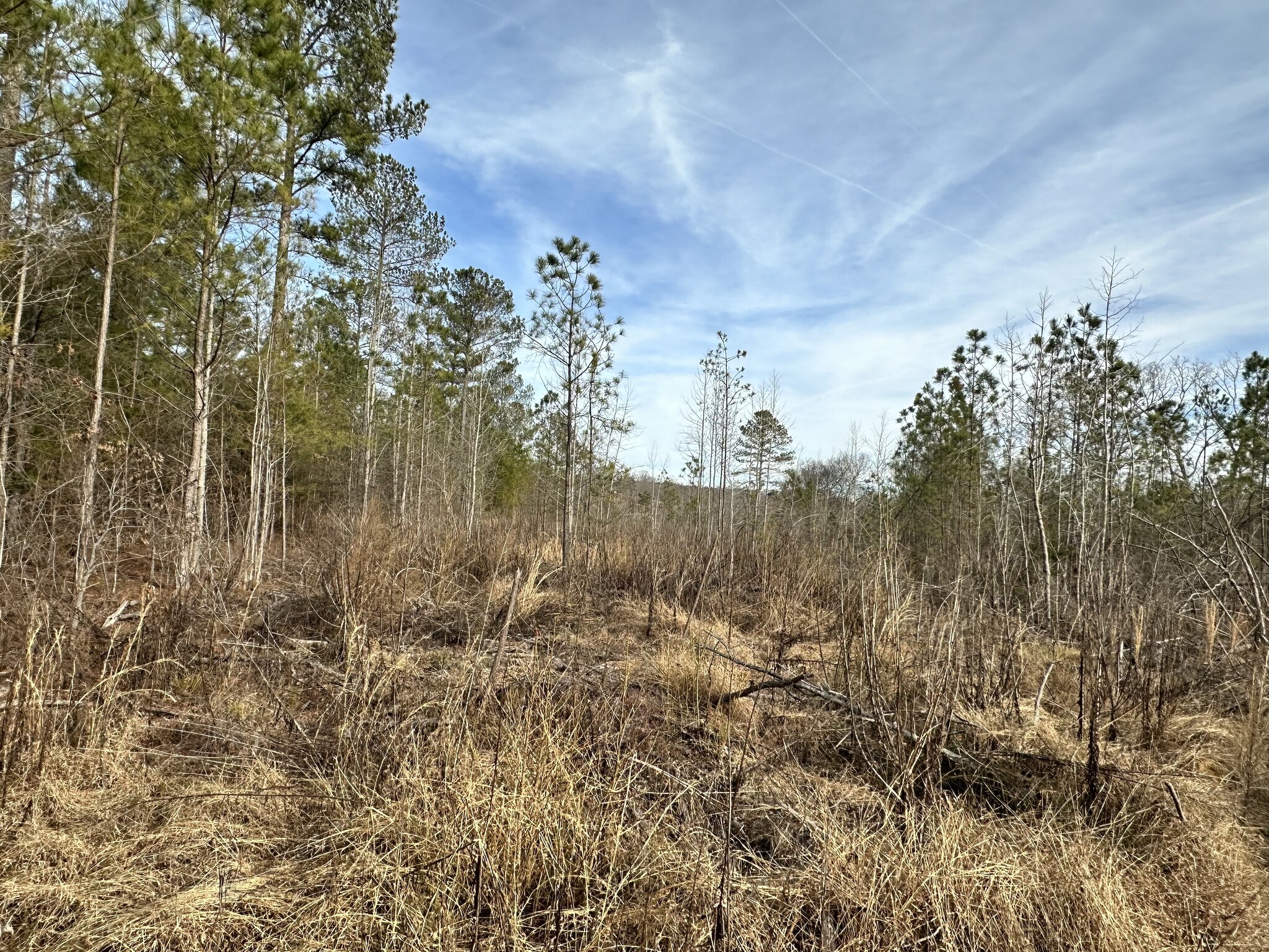 Satcher Road Rd, Taylorsville, GA for sale Primary Photo- Image 1 of 10