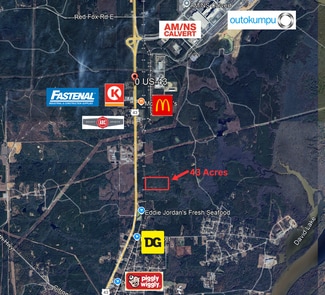 More details for 0 Highway 43 N., Mount Vernon, AL - Land for Sale