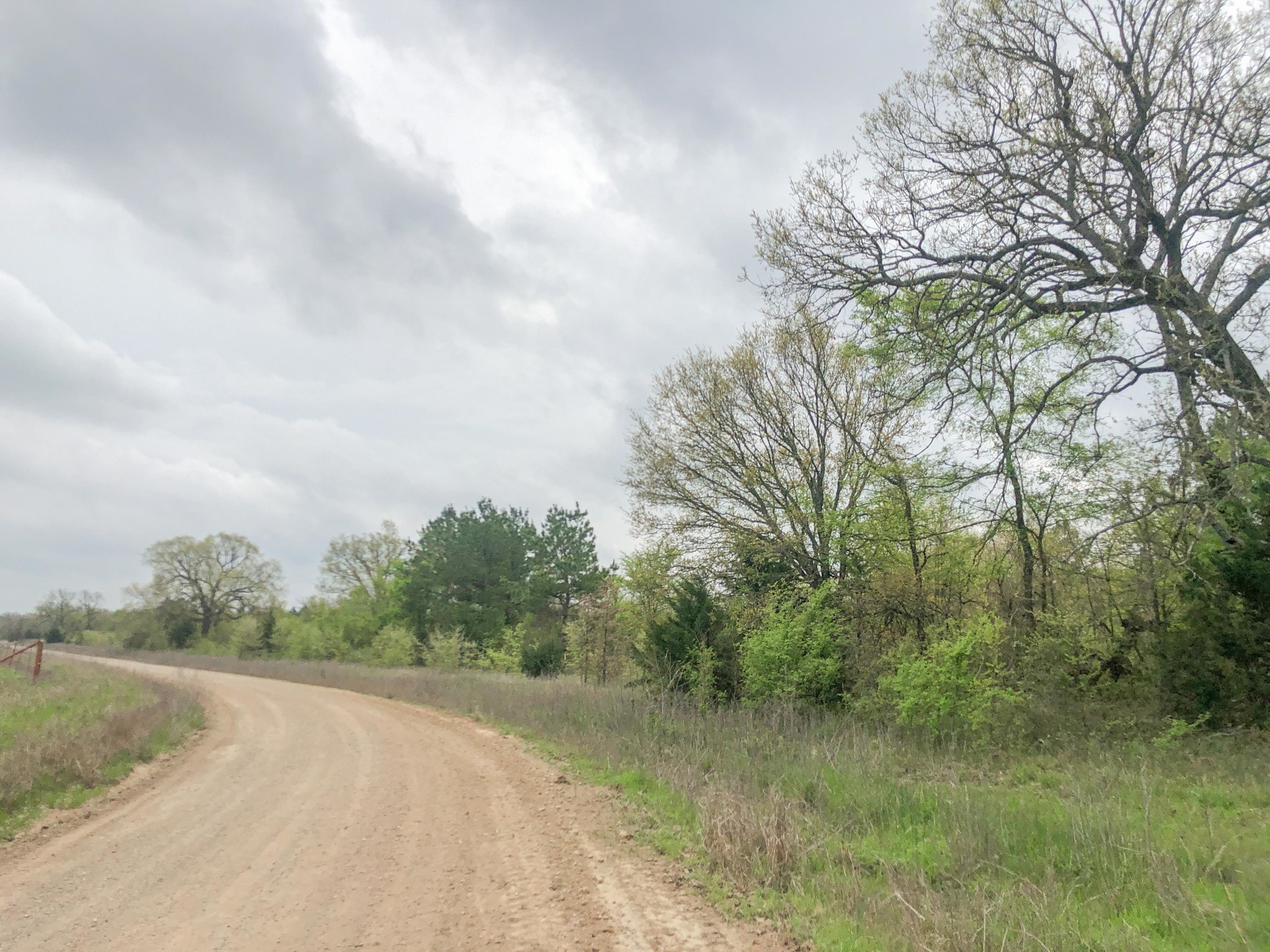 4640 CR, Avery, TX 75554 Land for Sale