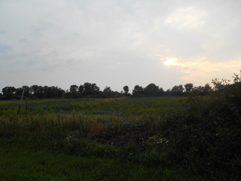 4845 Lake Pleasant Rd, North Branch, MI for sale - Other - Image 2 of 6