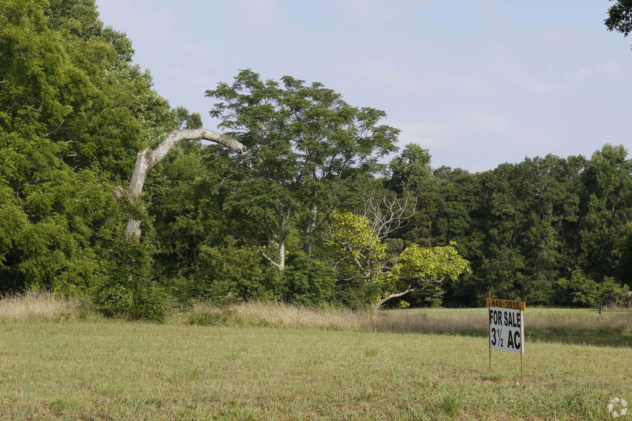804 S Mechanic St, Pendleton, SC for sale Primary Photo- Image 1 of 1