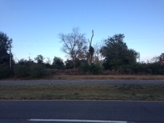 1400 S Hwy 29, Cantonment, FL for sale - Primary Photo - Image 1 of 1