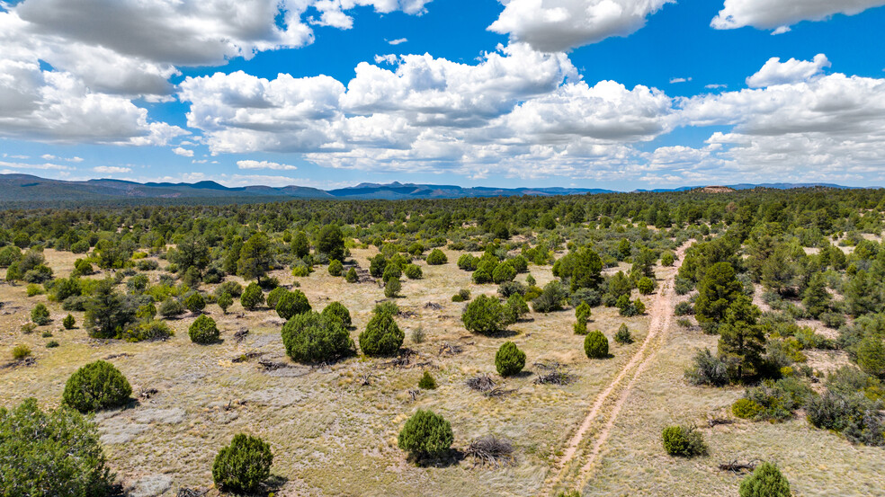 Las Vegas Road (West of Williamson Valley Rd), Prescott, AZ for sale - Aerial - Image 1 of 12