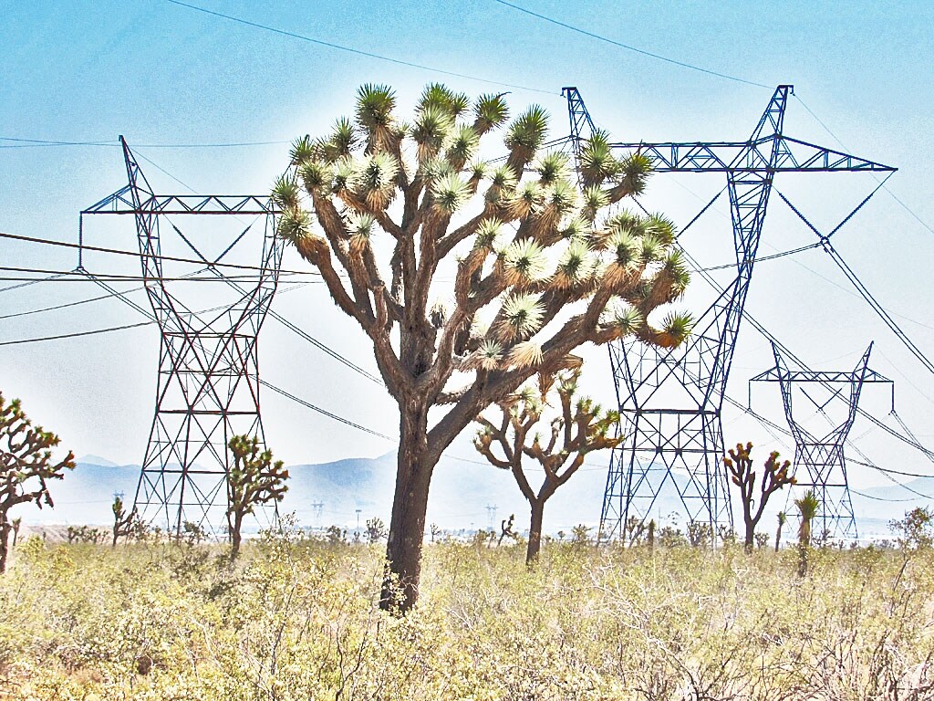 Caughlin Rd, Adelanto, CA 92301 +/1.34AC Zoning MI Adelanto Dirt