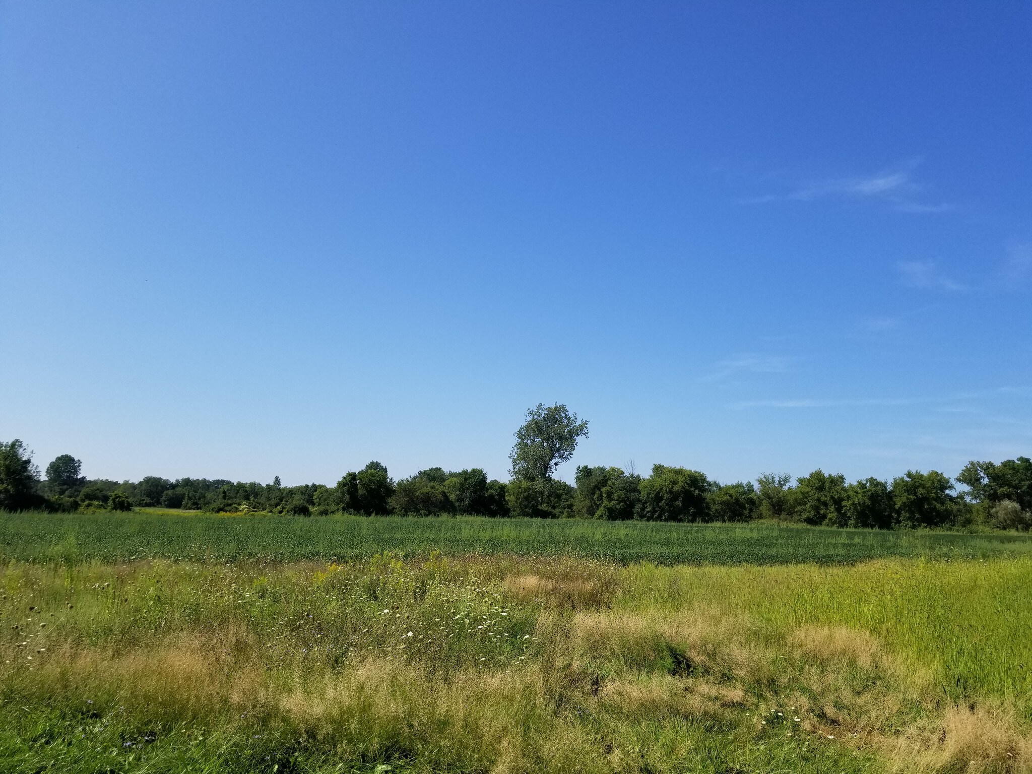 21447 32 Mile Rd, Armada, MI for sale Other- Image 1 of 1