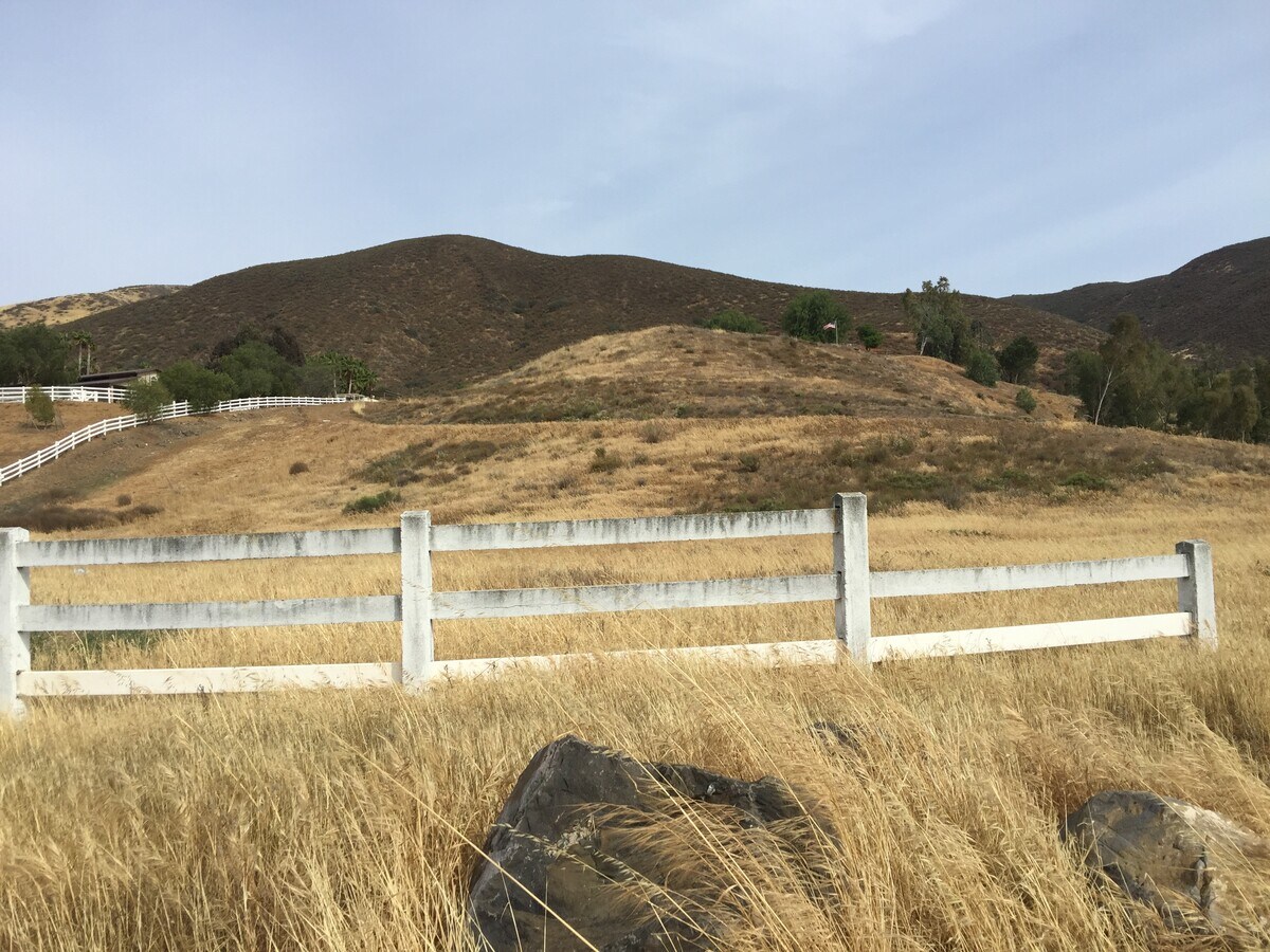View Photo