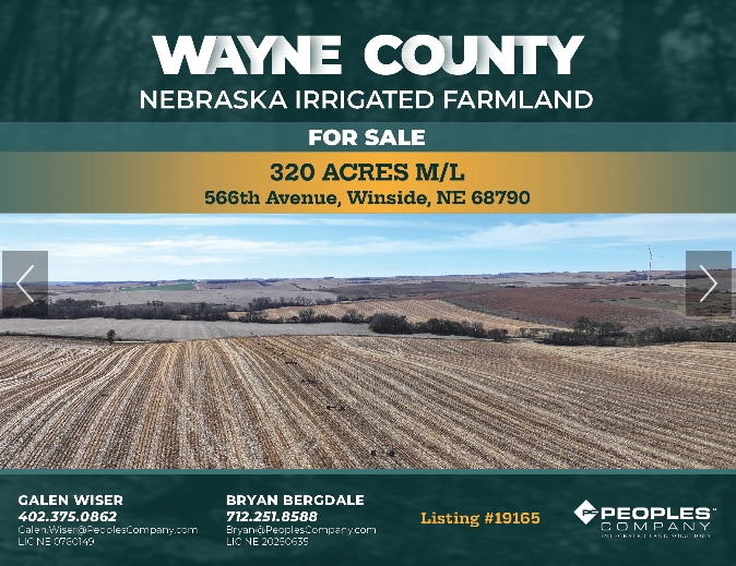 848th Rd, Winside, NE for sale - Primary Photo - Image 1 of 7