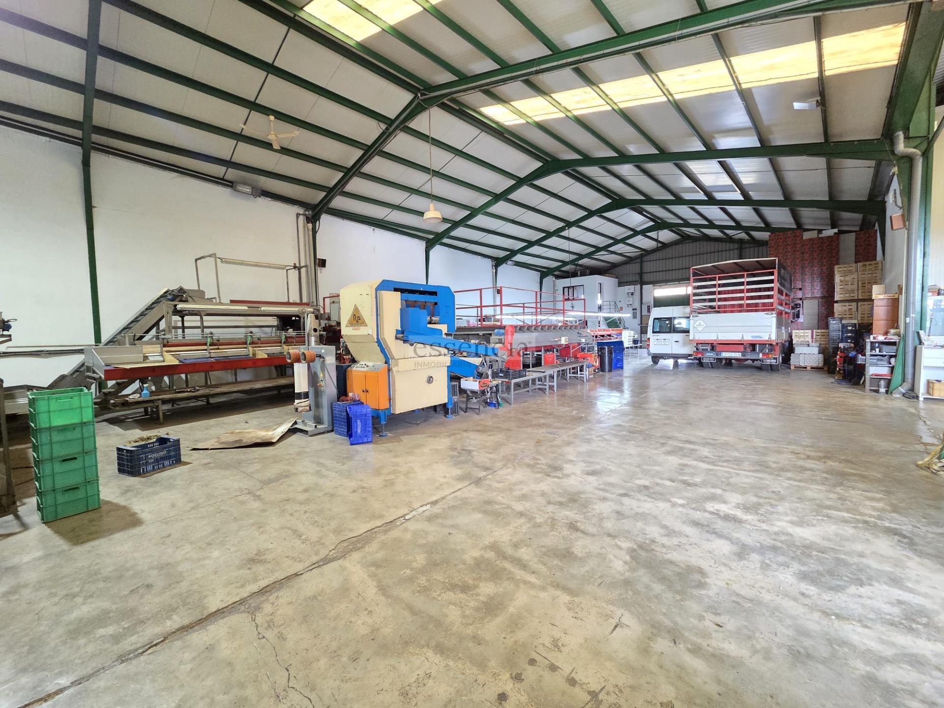 Industrial in València for sale Building Photo- Image 1 of 19