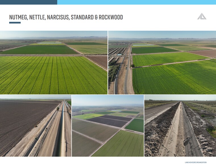 Nutmeg, Nettle, Narcisus, Standard & Rockwood, Calipatria, CA for sale - Primary Photo - Image 1 of 2