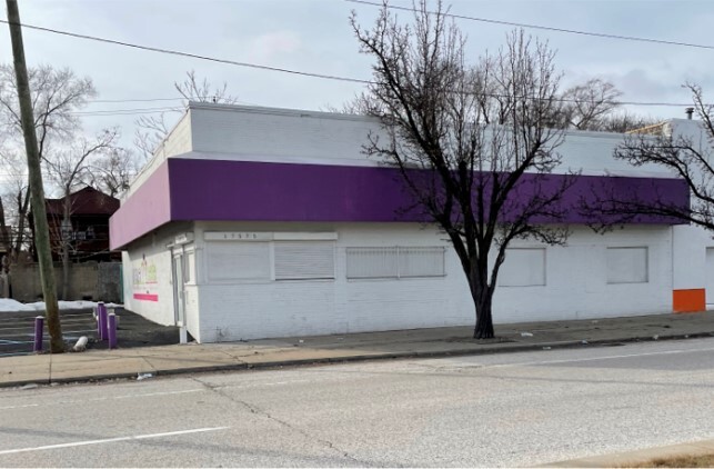 17575 Livernois Ave, Detroit, MI for sale - Primary Photo - Image 1 of 9