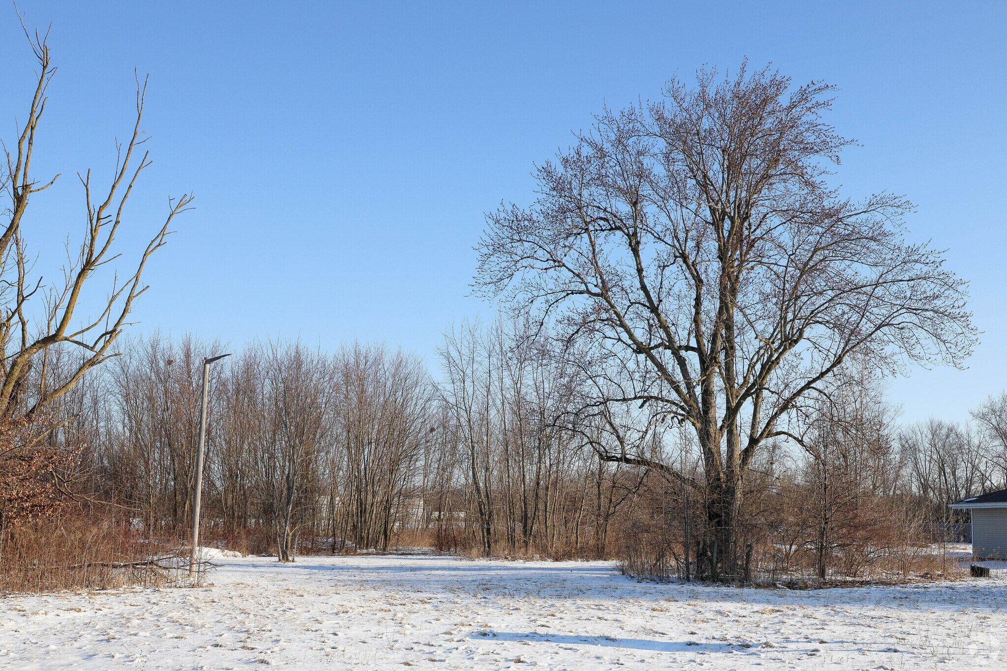 3936 State Road 47, Sheridan, IN for sale Primary Photo- Image 1 of 1