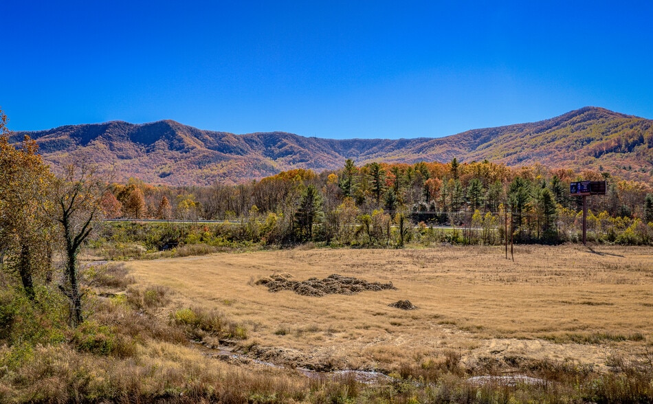 865 Blue Ridge Rd, Black Mountain, NC for sale - Building Photo - Image 3 of 11