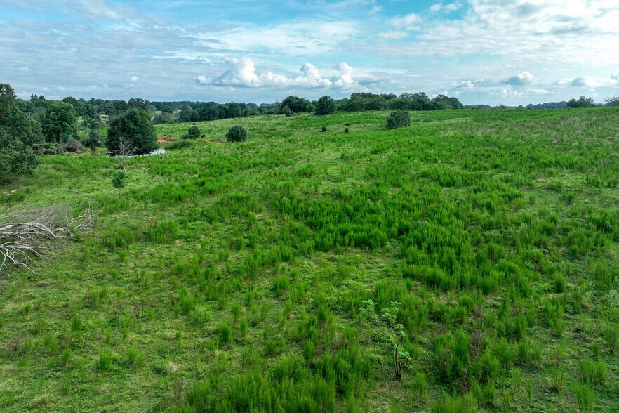 0 Turkey Creek Rd, Carnesville, GA for sale - Building Photo - Image 2 of 24