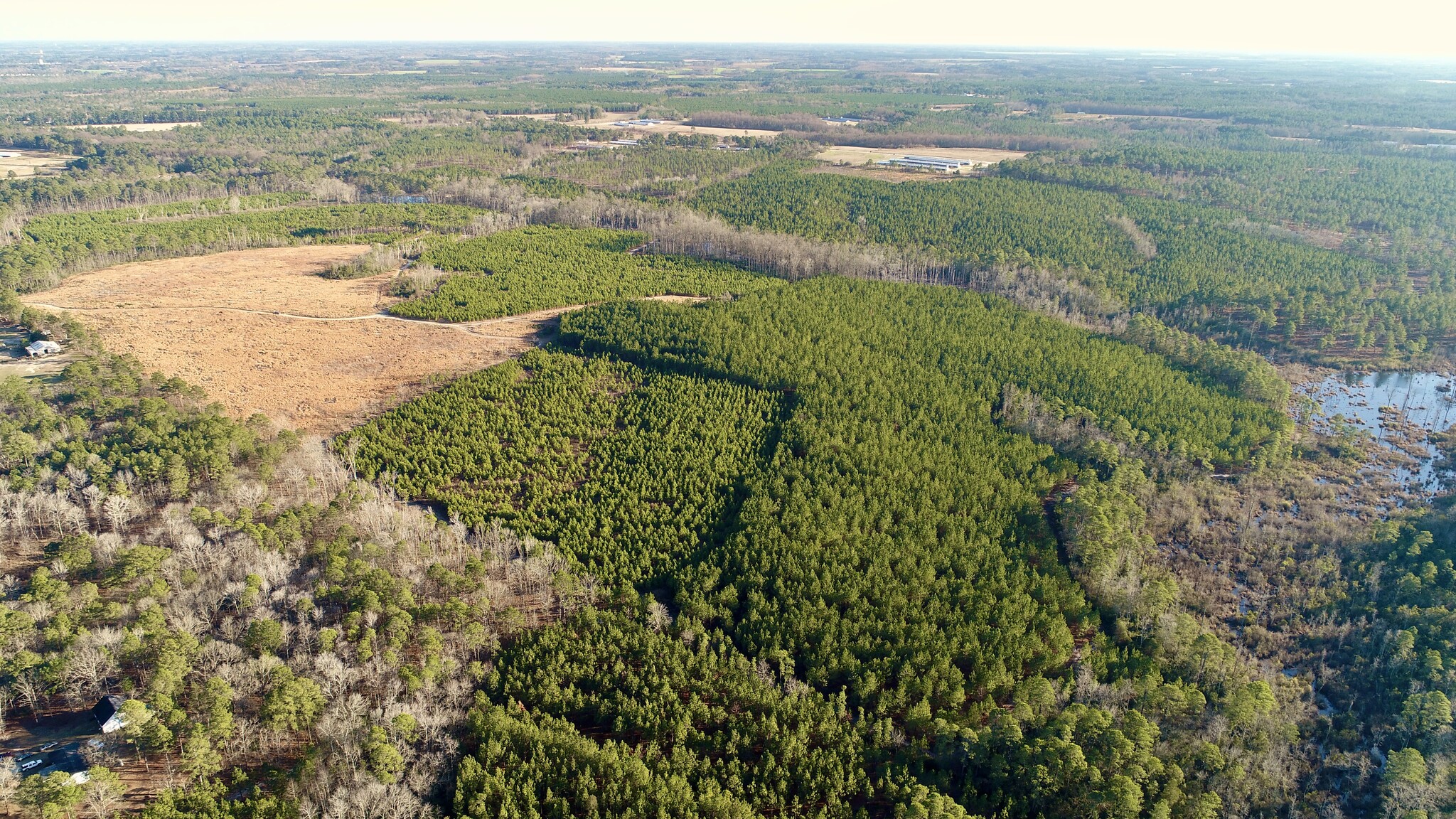 Calloway, Raeford, NC for sale Primary Photo- Image 1 of 1