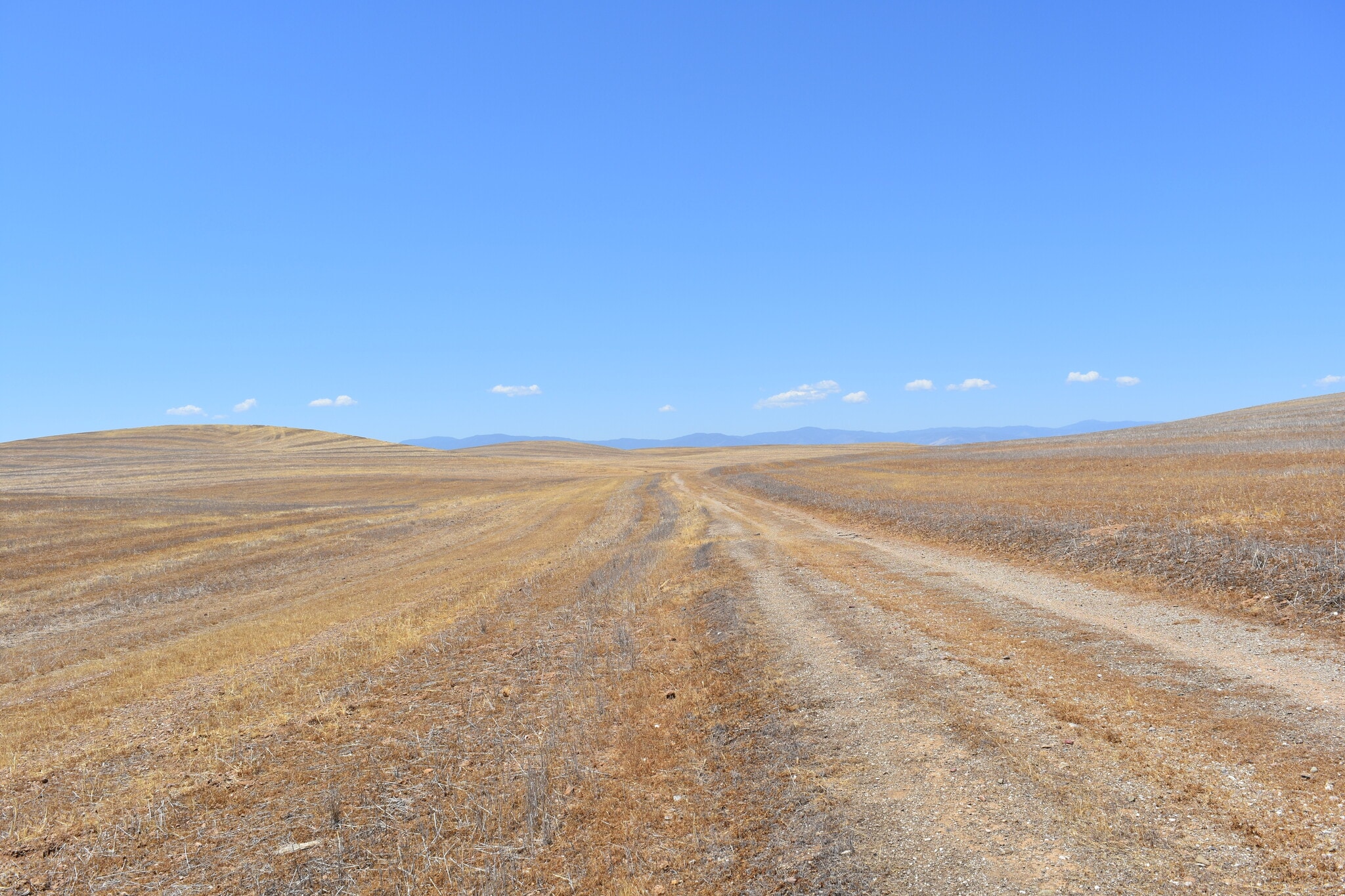 Road 33, Artois, CA 95913 - 4,663 Acres Artois, Glenn County | LoopNet
