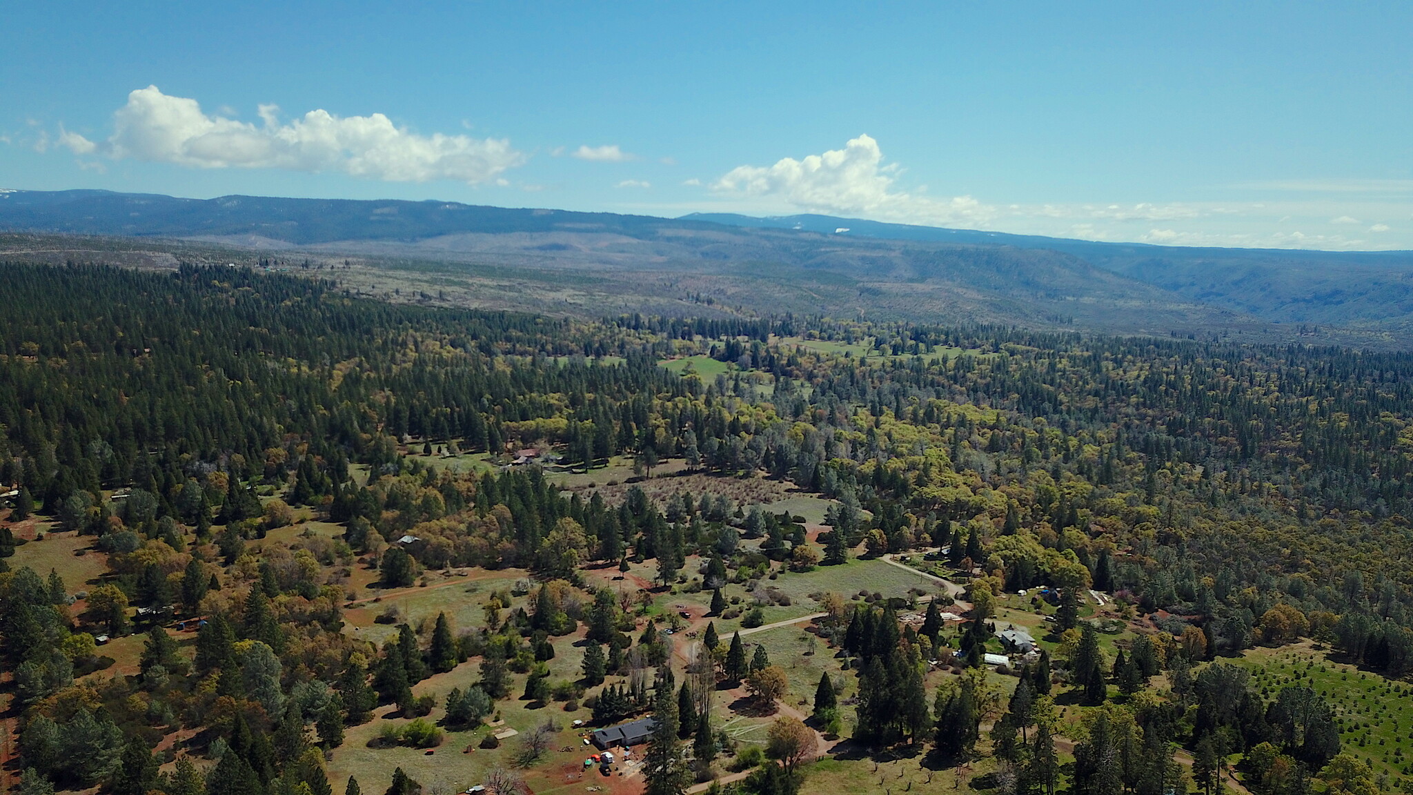 21726 Graham Rd, Manton, CA for sale Primary Photo- Image 1 of 1