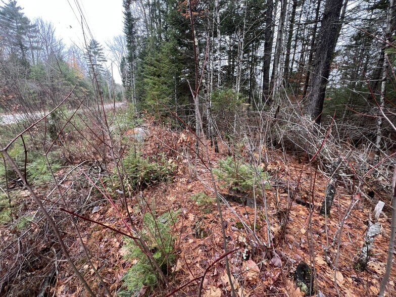 Gray Fox Road, Effingham, NH for sale - Primary Photo - Image 2 of 8