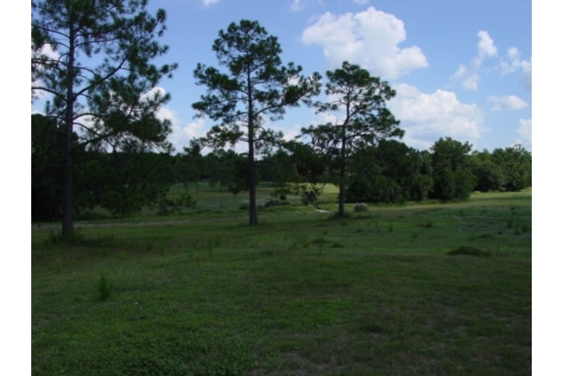 23A Golf Course Rd, Macclenny, FL for sale Primary Photo- Image 1 of 1