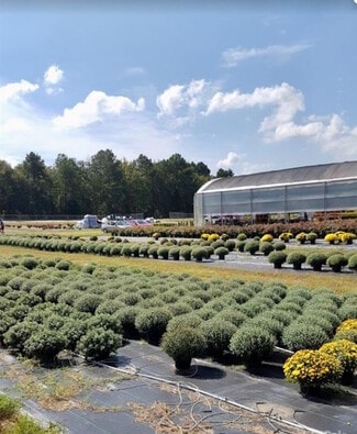 More details for 32544 SC-9, Pageland, SC - Land for Sale