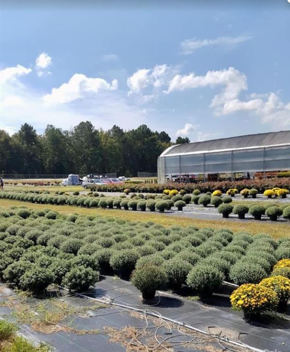 32544 SC-9, Pageland, SC for sale Primary Photo- Image 1 of 8