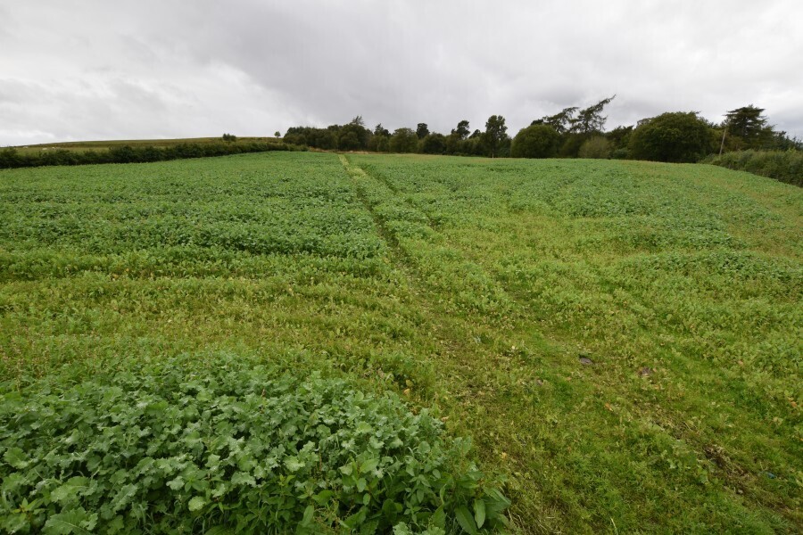 Mill Of Towie, Keith for sale Building Photo- Image 1 of 6