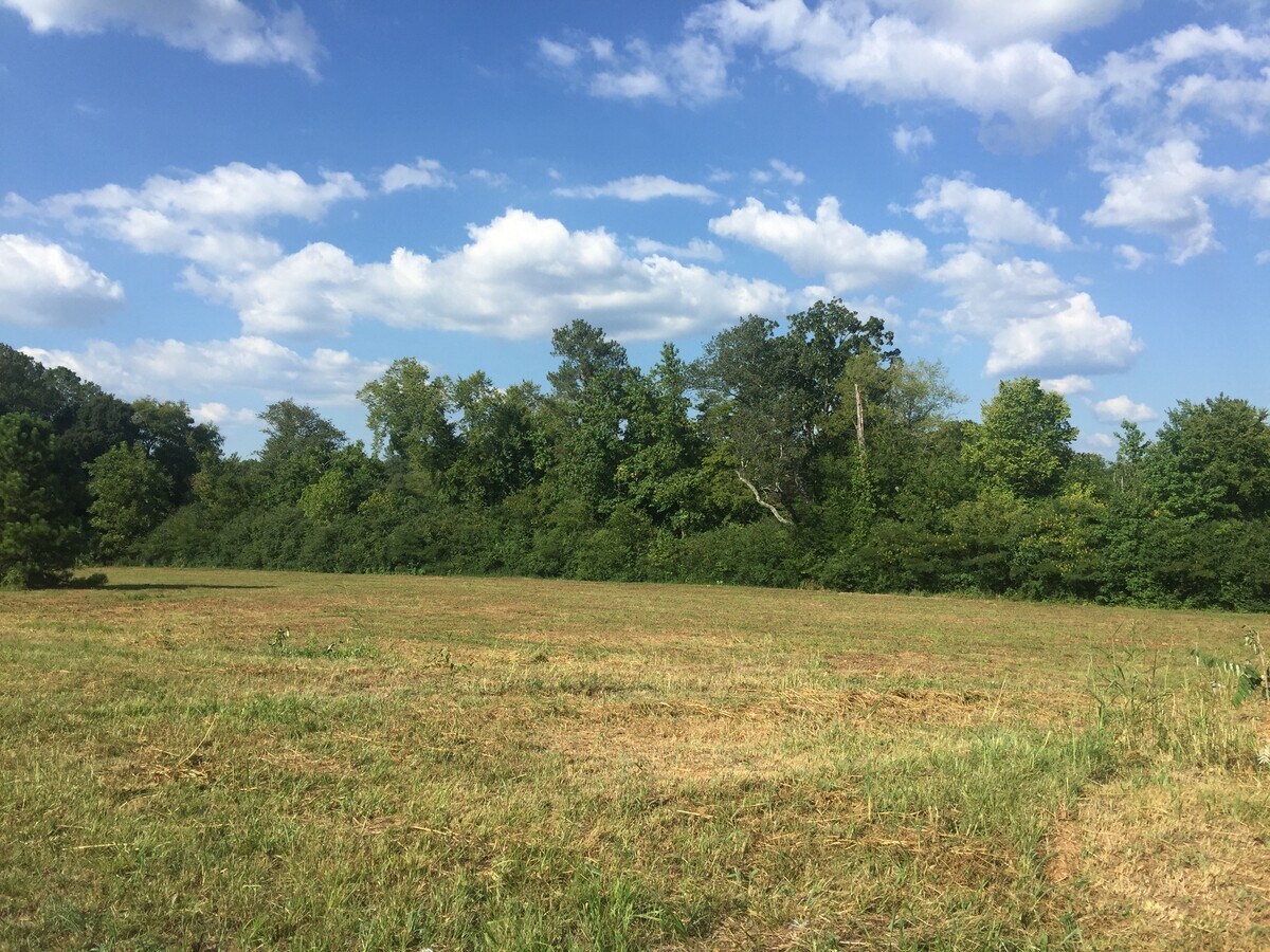 Joe Frank Harris Parkway Cartersville Ga USA, Adairsville, GA 30103