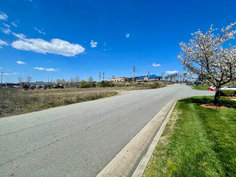 328 Cottonwood Commons Drive, Denver, NC for sale - Primary Photo - Image 2 of 2