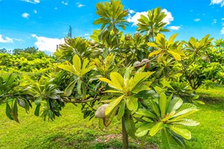 More details for 164 SW 192nd Ave, Miami, FL - Land for Sale