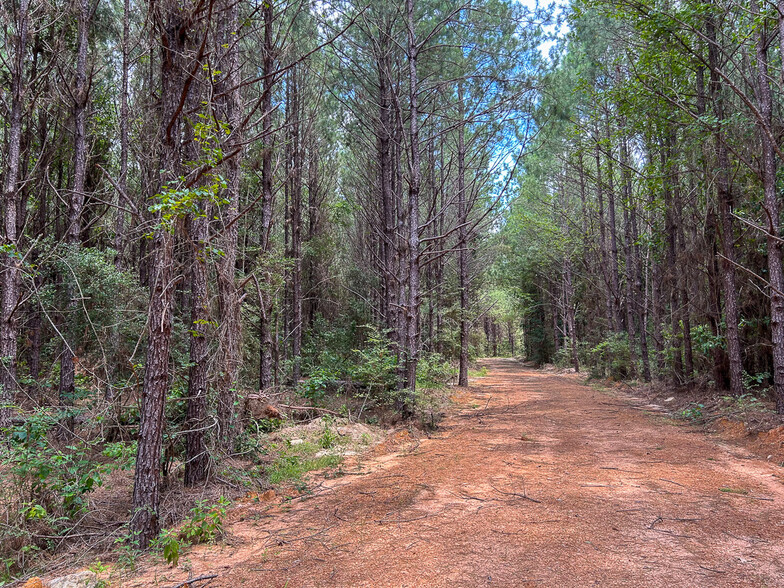 0 County Line Road, Livingston, TX for sale - Primary Photo - Image 1 of 1