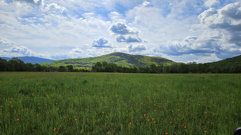 Chapel Village Road, Stanley, VA 22851 - Stanley | LoopNet