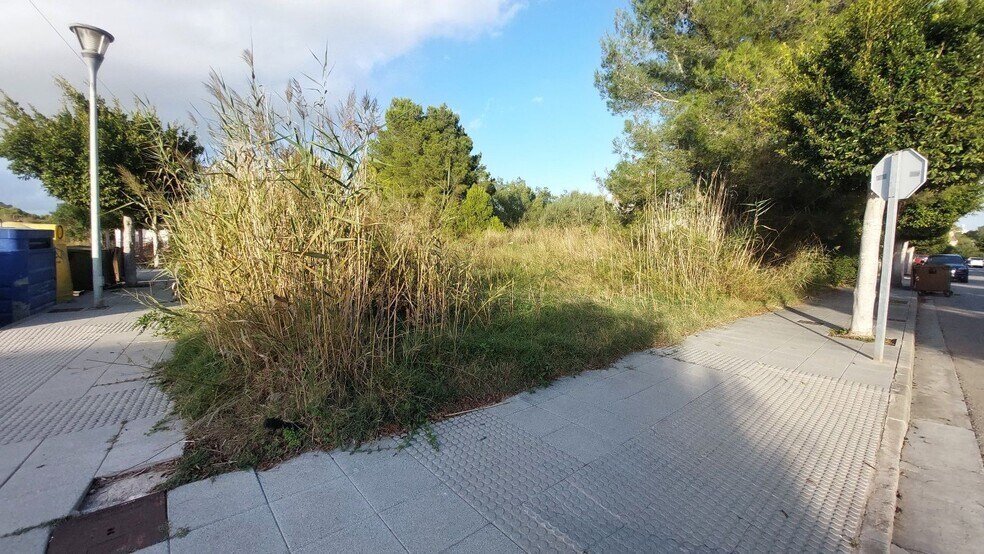 Land in Alcúdia, Islas Baleares for sale - Building Photo - Image 3 of 3