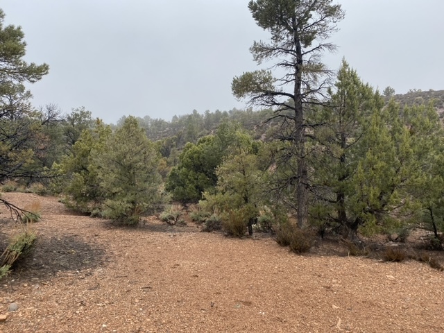 Cabin Springs Rd, Las Vegas, NV for sale - Building Photo - Image 1 of 11