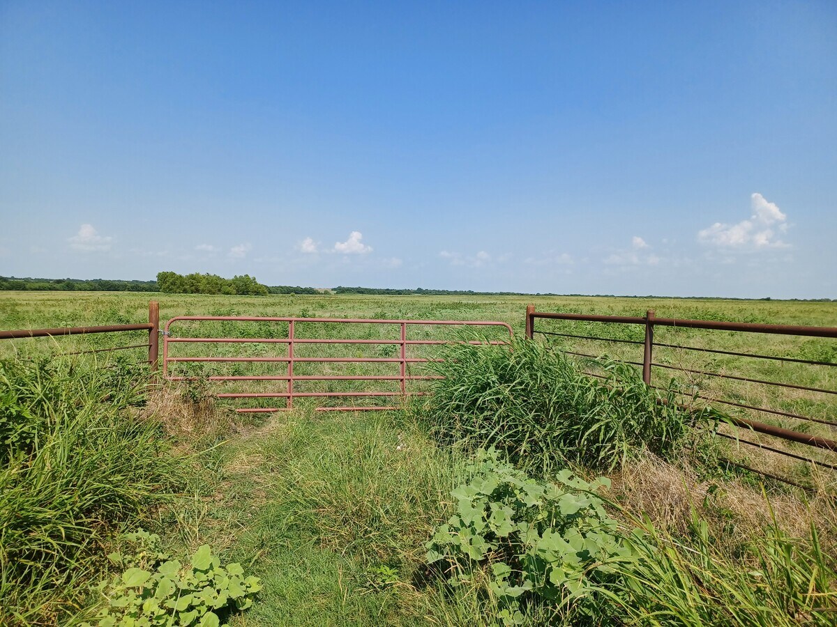 FM 1530, Pecan Gap, TX 75469