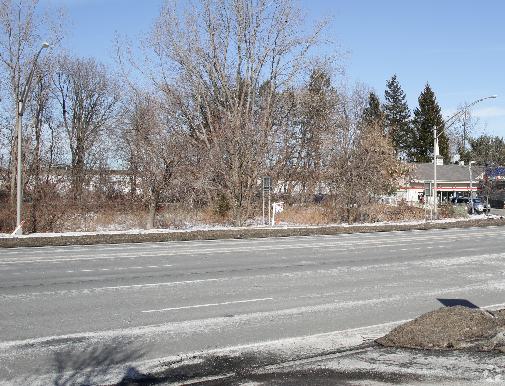 244 Wolf Rd, Albany, NY for lease Building Photo- Image 1 of 5