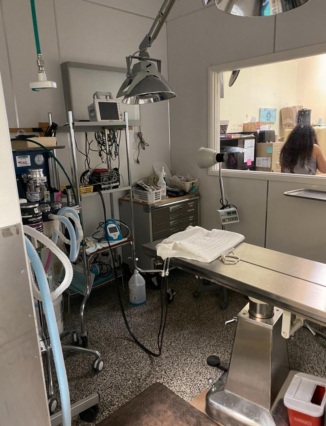 1305 Vegas Valley Dr, Las Vegas, NV for lease Building Photo- Image 1 of 9