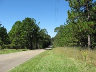 More details for 119 Acres In Lamar County Ms, Lumberton, MS - Land for Sale