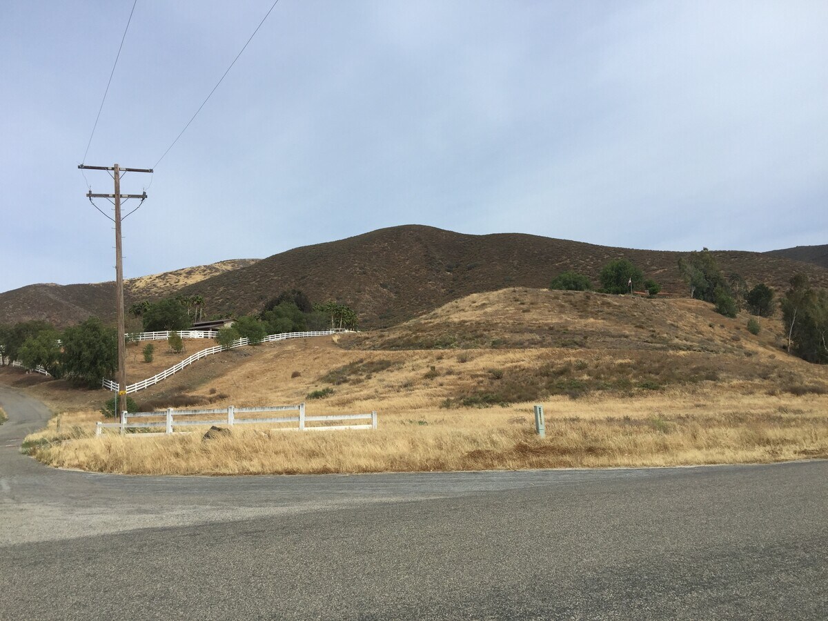 View Photo